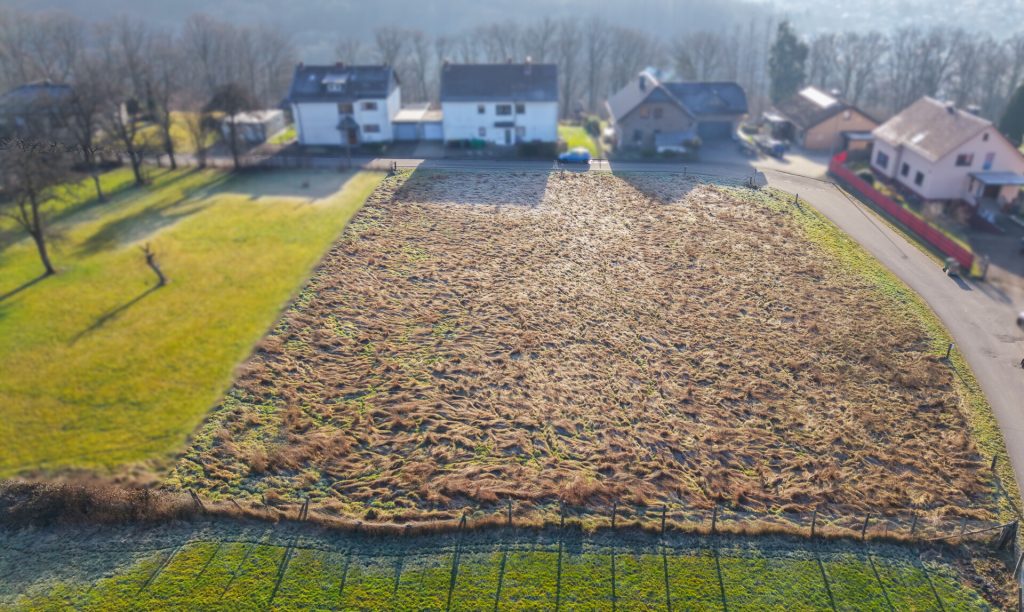 Foto der Immobilie (71979)