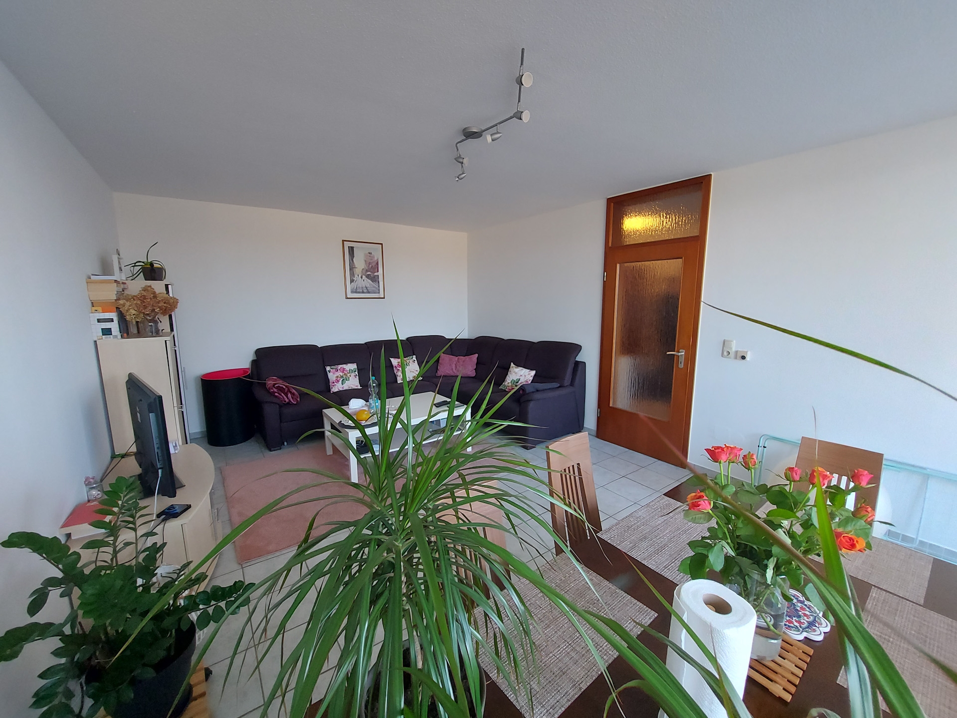 Foto der Immobilie (73491)