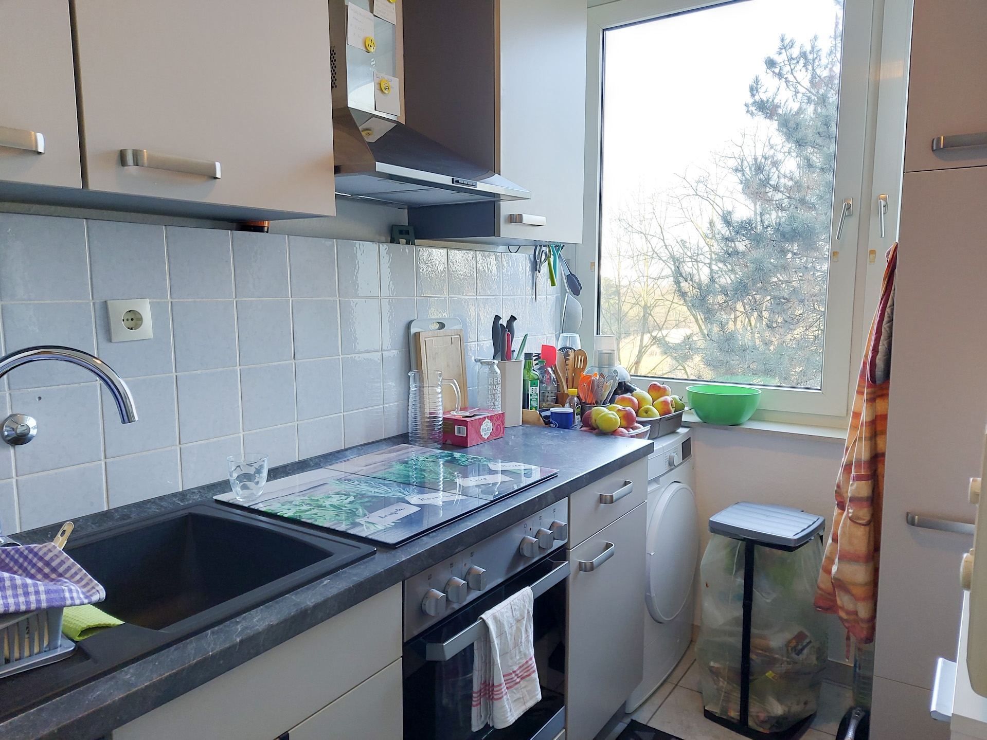 Foto der Immobilie (73492)