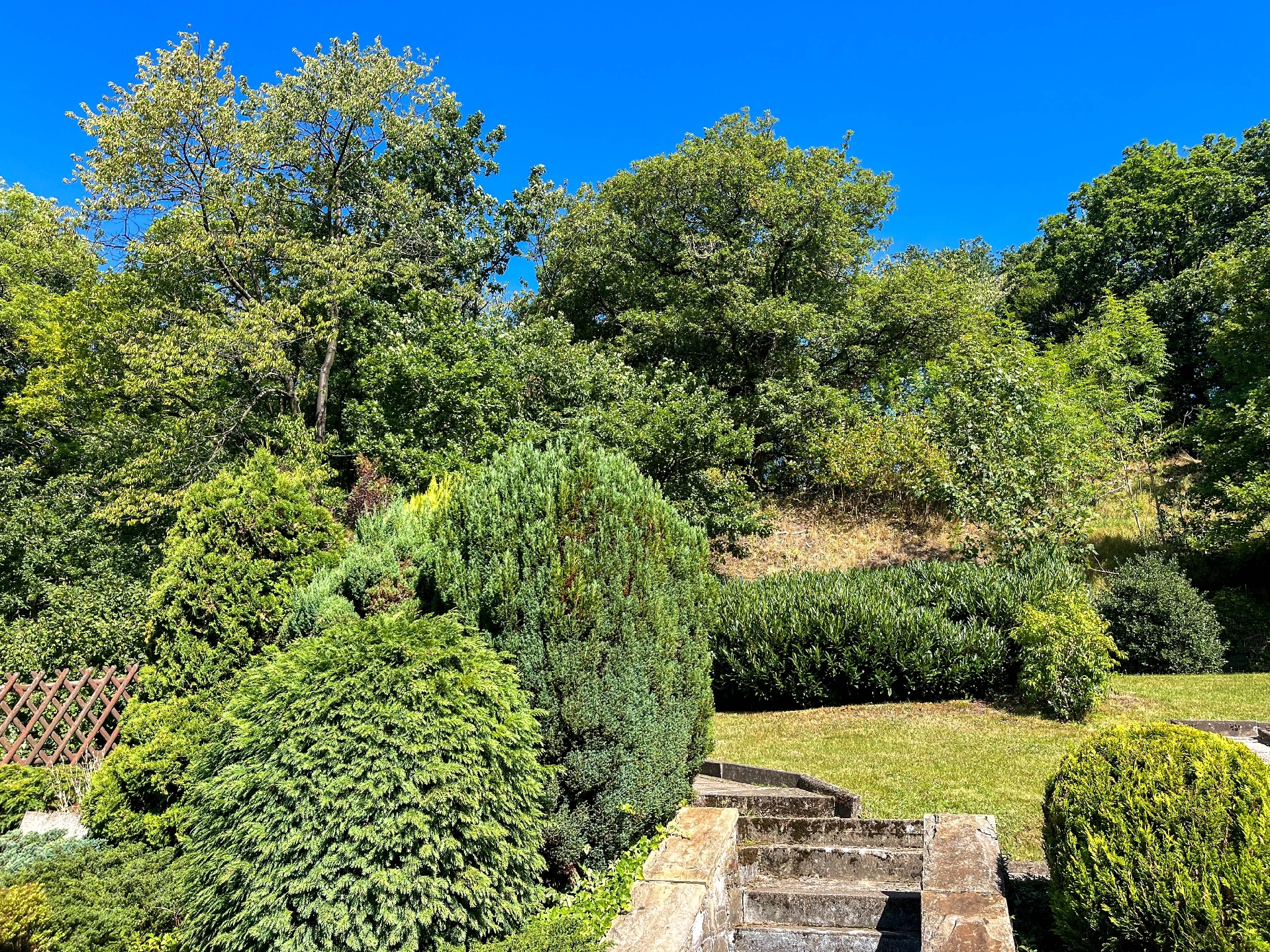 Sonnengrundstück mit Waldblick