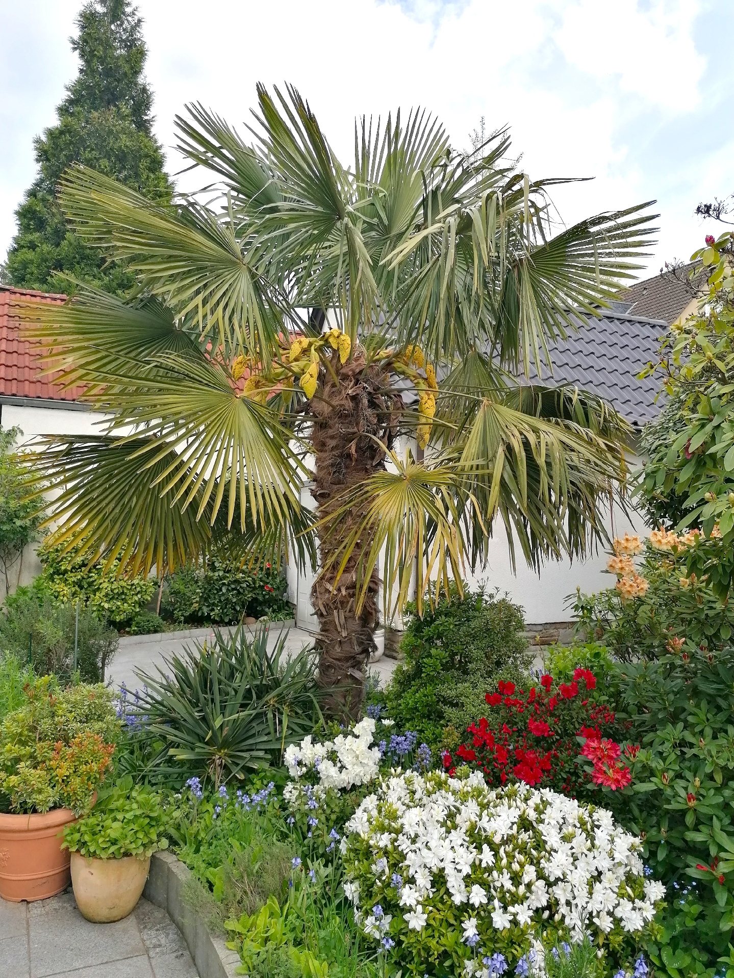 vielfältiger Pflanzenbestand...