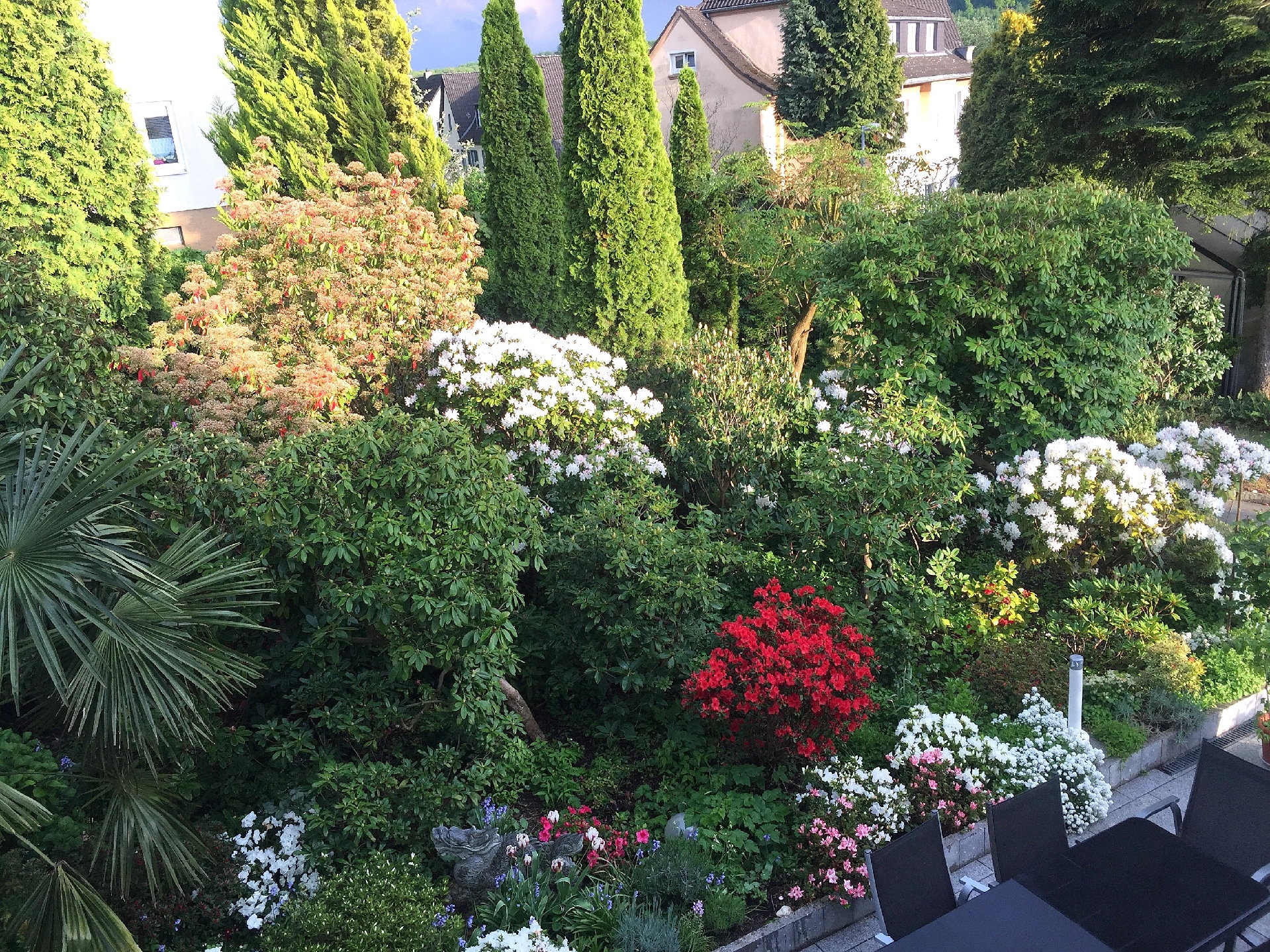 ...mit toller Farbenpracht