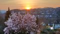 Willkommen Frühling!