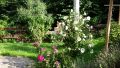 Gartenansicht