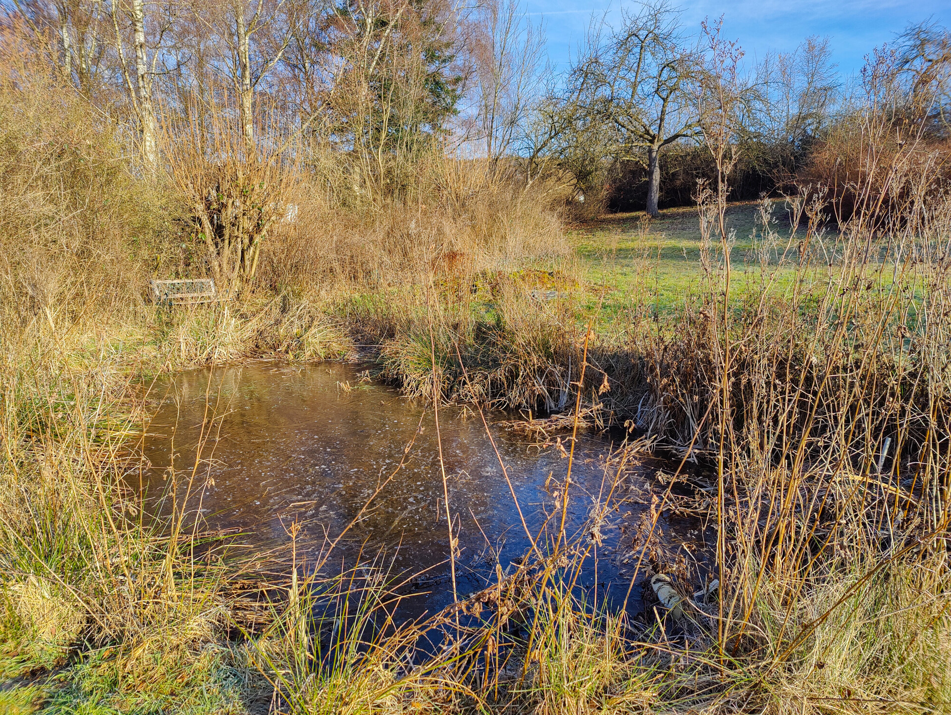 Gartenteich