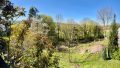 Ausblick