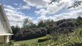 Blühender Garten