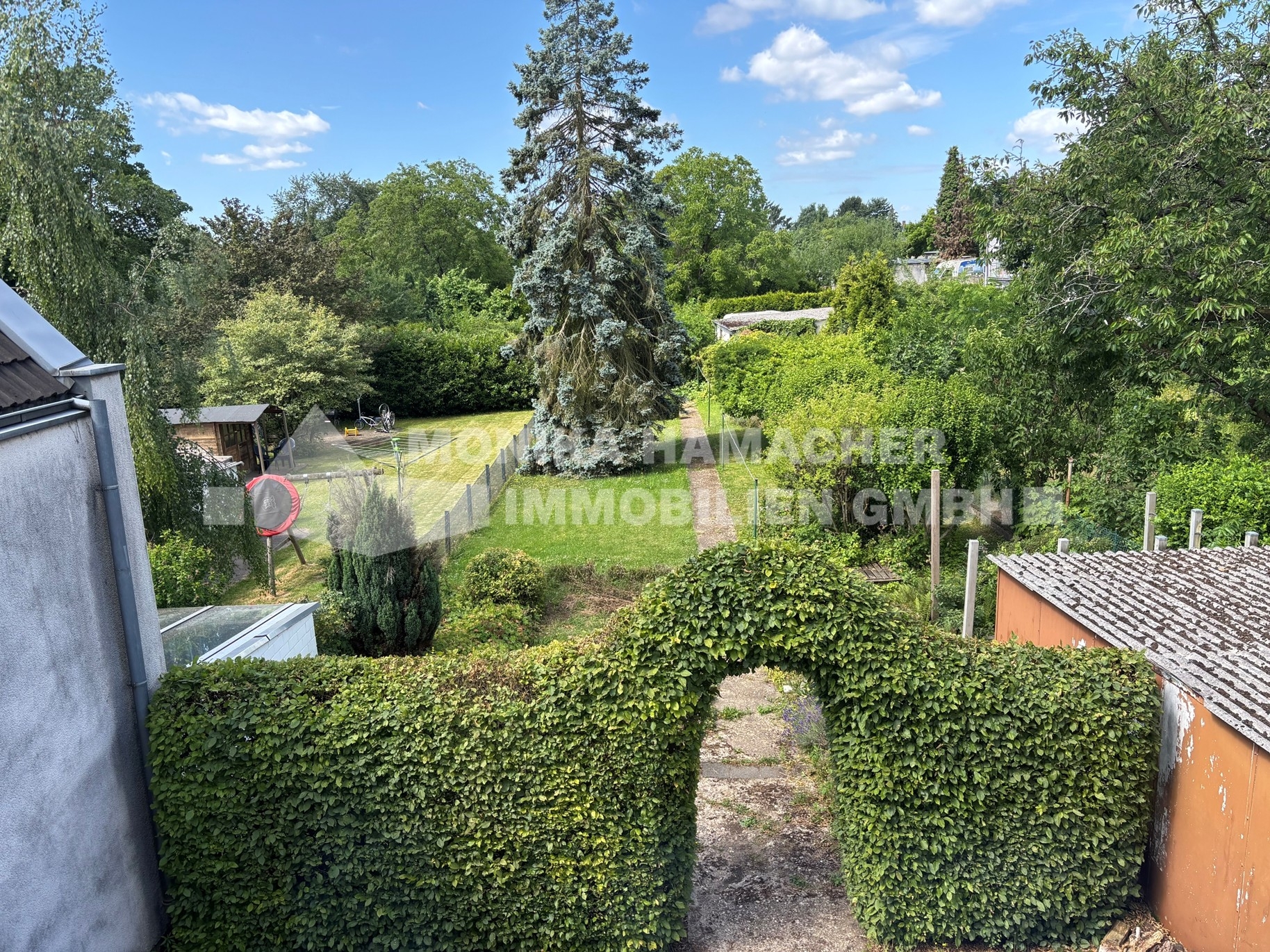 Blick in den Garten