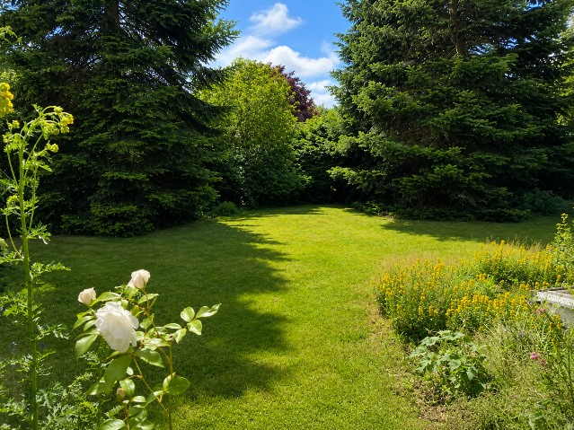 Gartenbereich