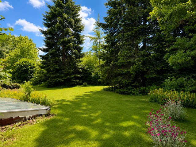 Gartenbereich