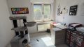 Büro/ Kinderzimmer 2
