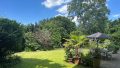 Blick in den Garten