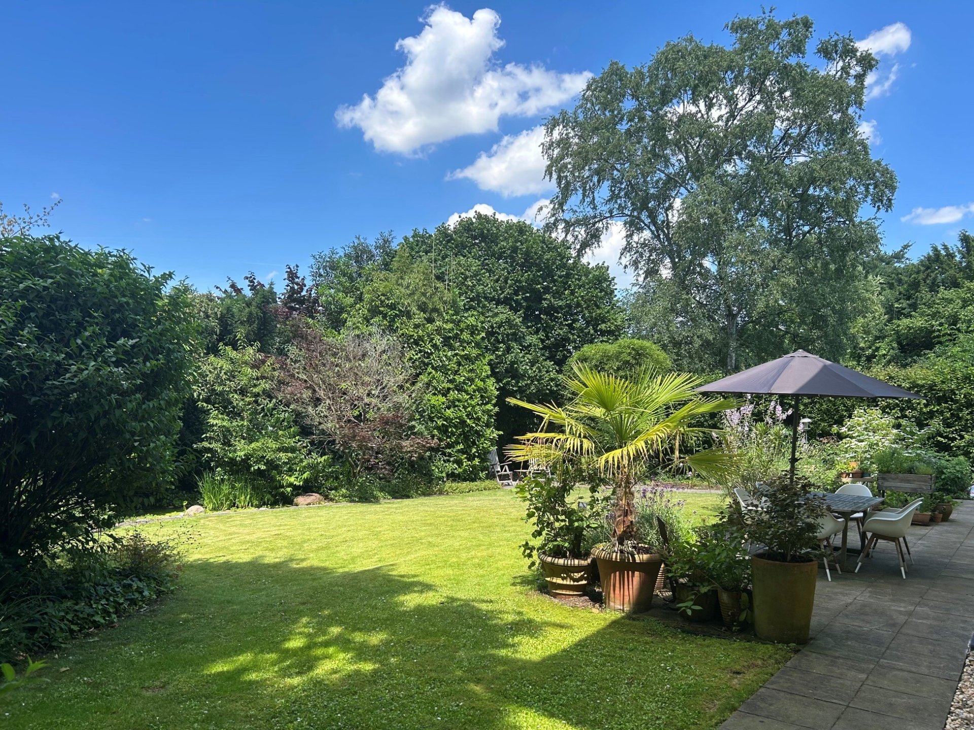 Blick in den Garten
