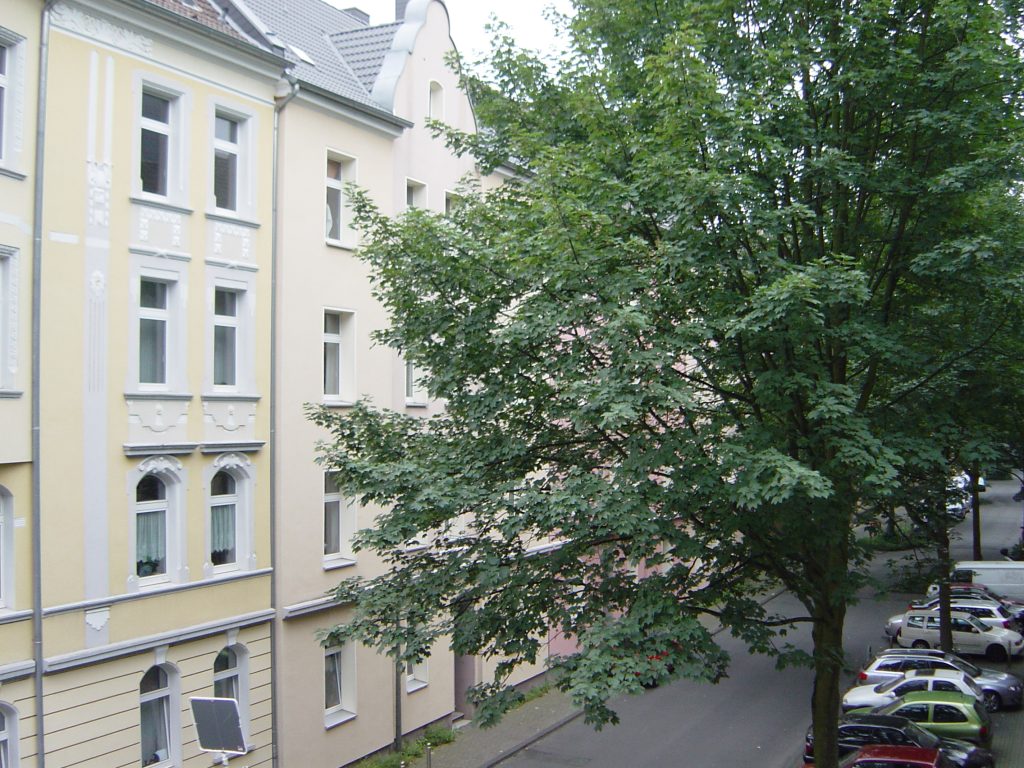 Foto der Immobilie (105779)