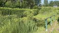 Teich