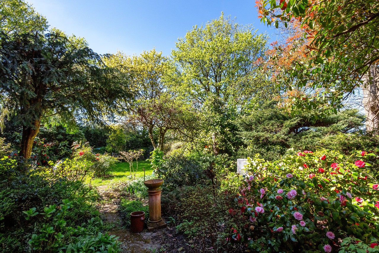 Blick in den großen Garten