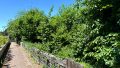 Gartengrundstück