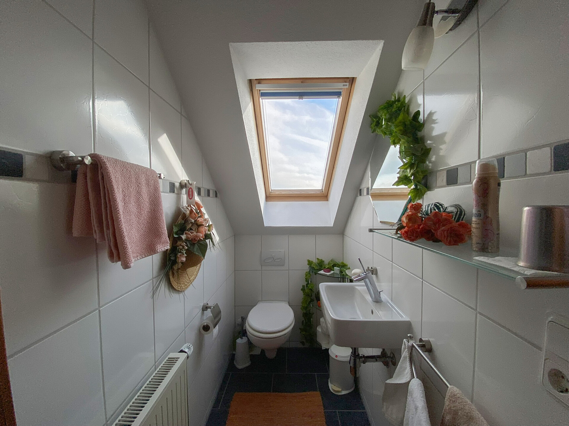 WC DG