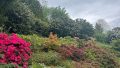 Garten Teilansicht