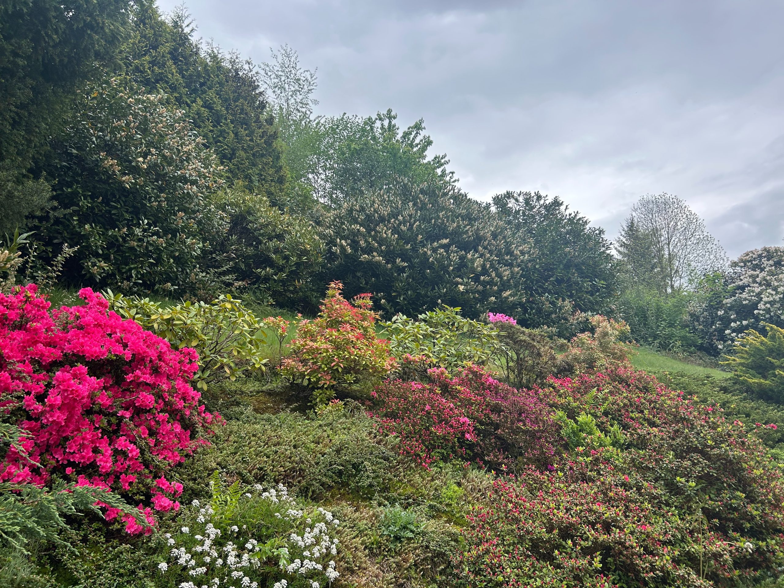Garten Teilansicht