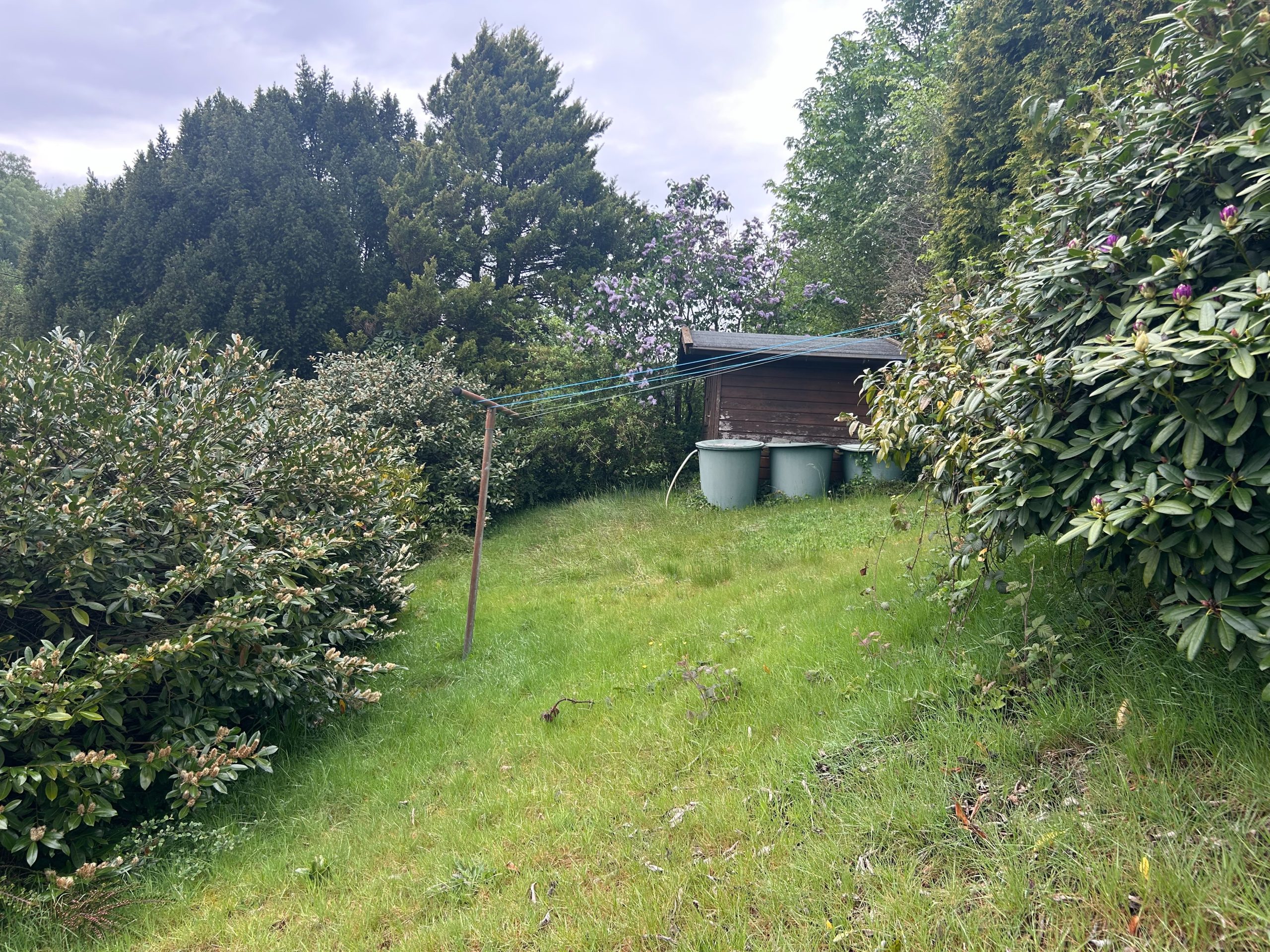 Oberer Bereich des Grundstückes