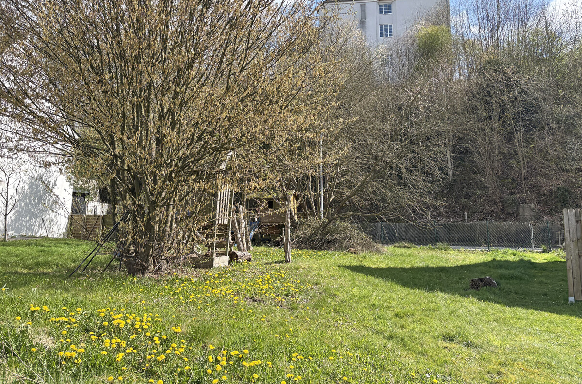 Ansicht