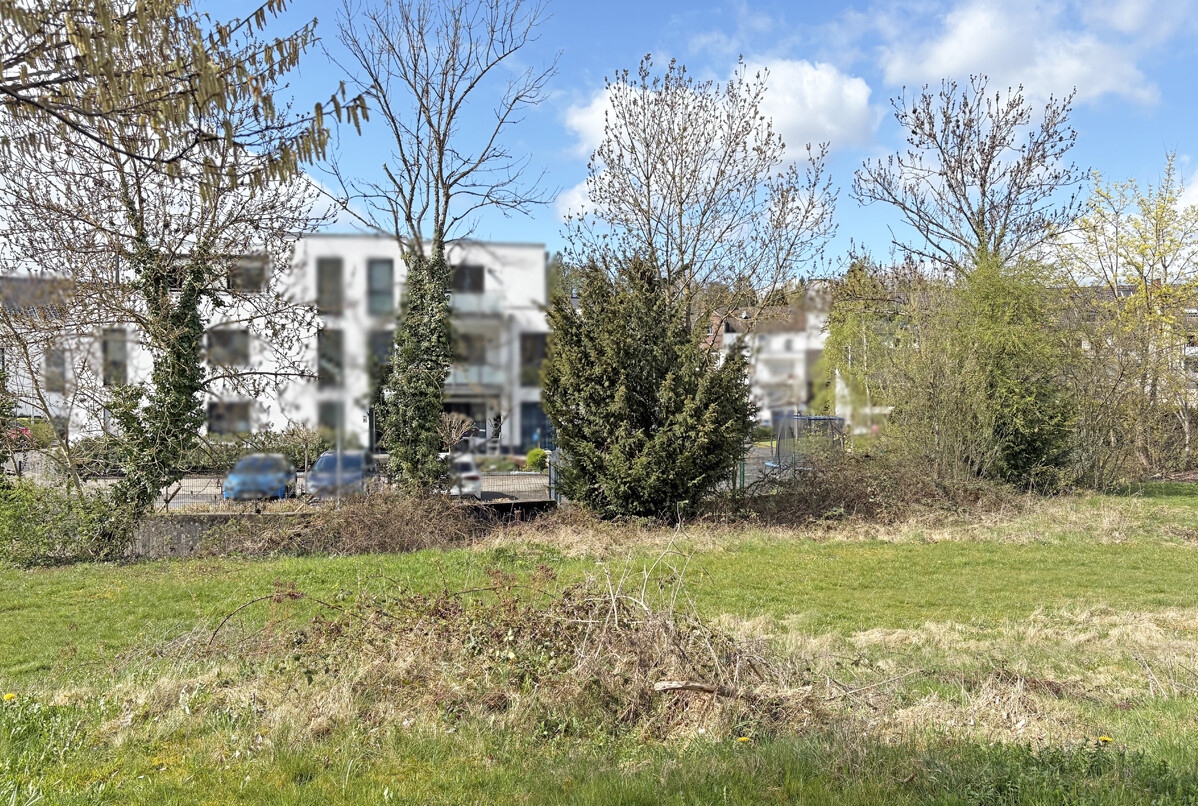 Ansicht