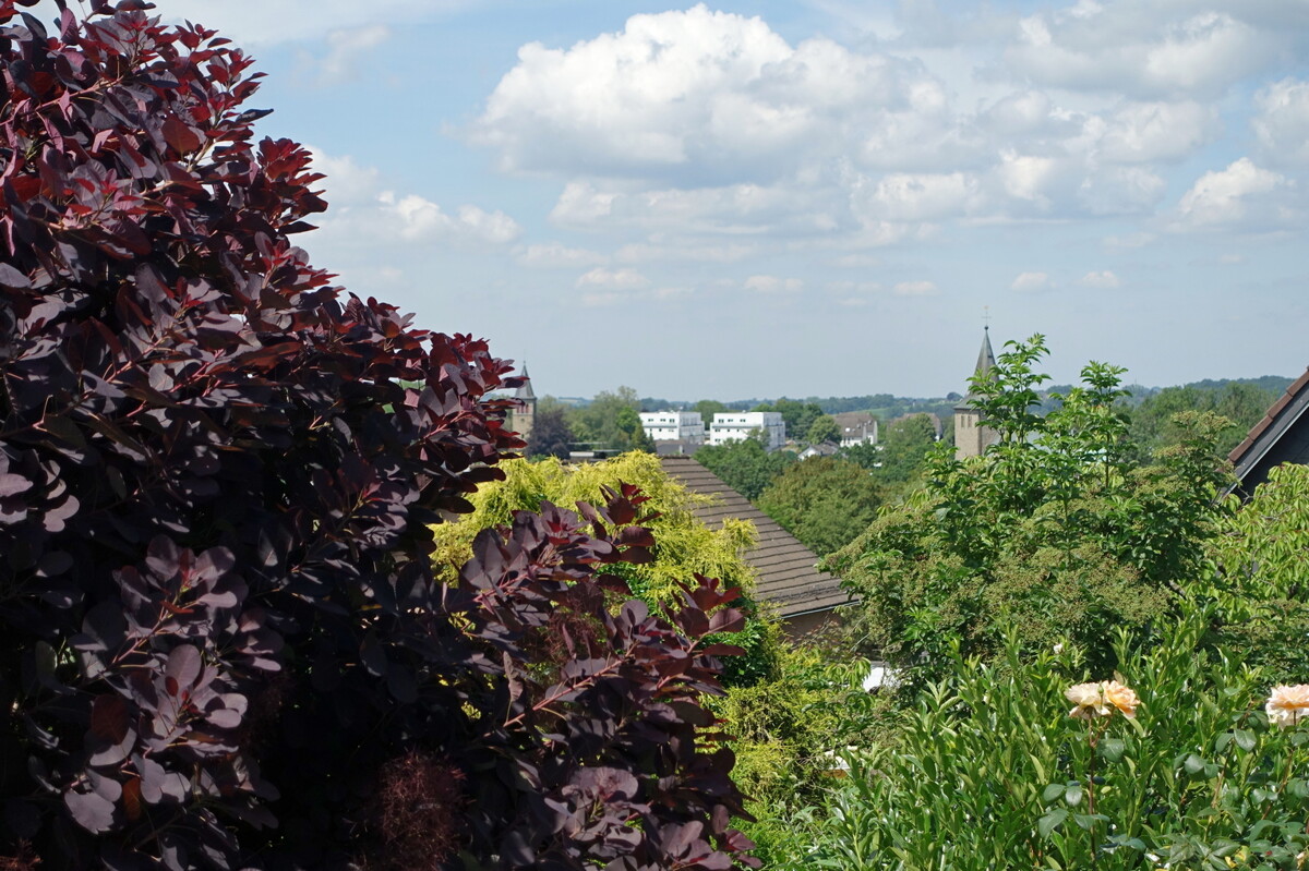 Fernsicht