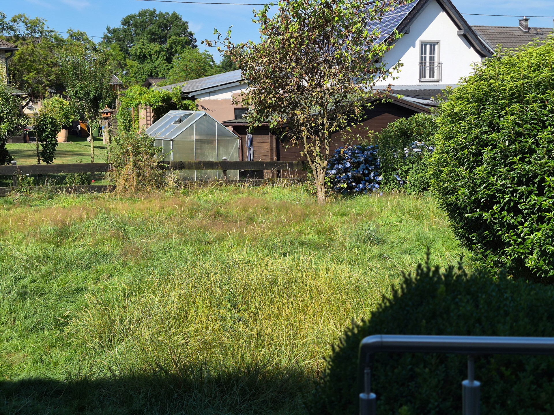Blick in den Garten