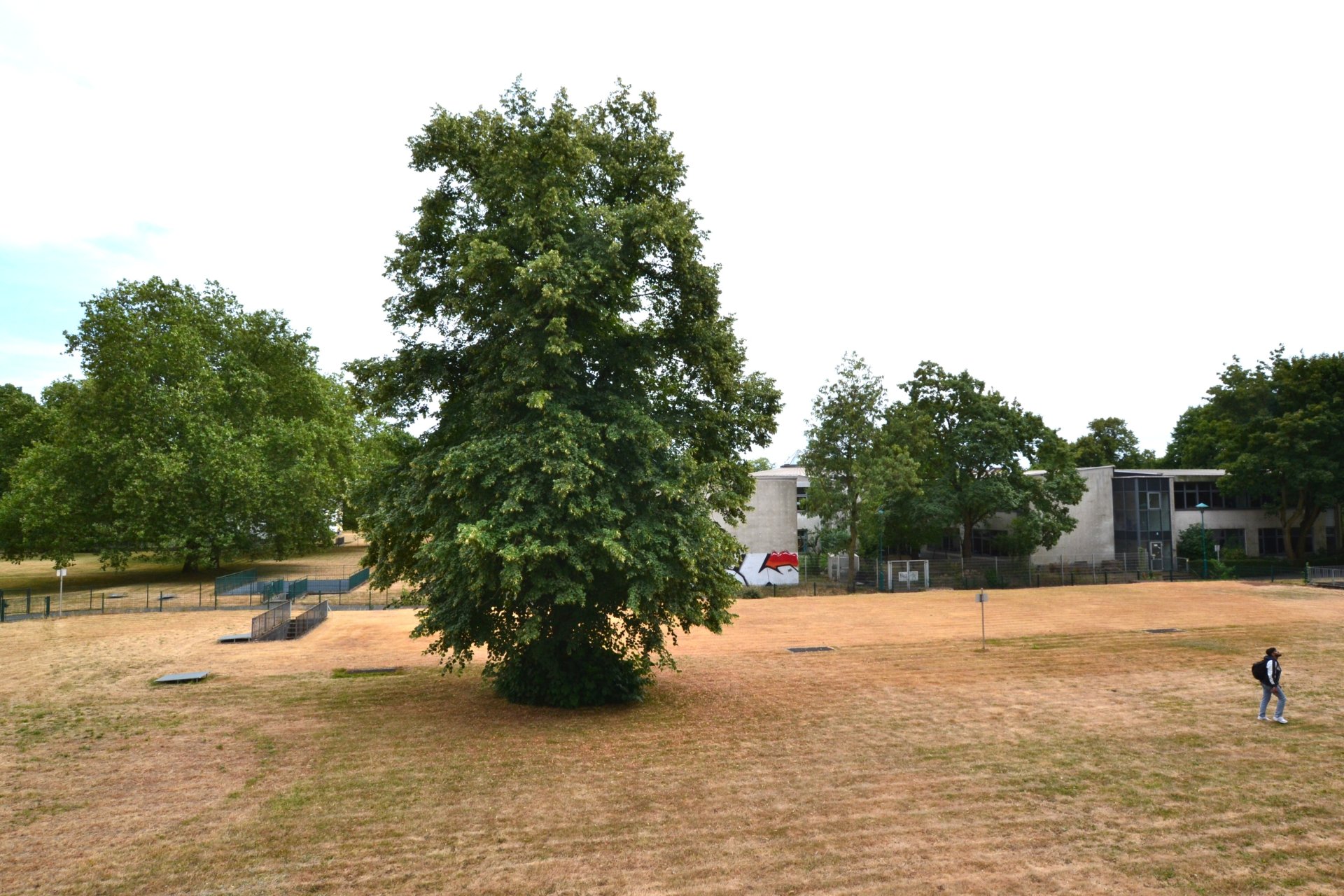 Blick in den Garten