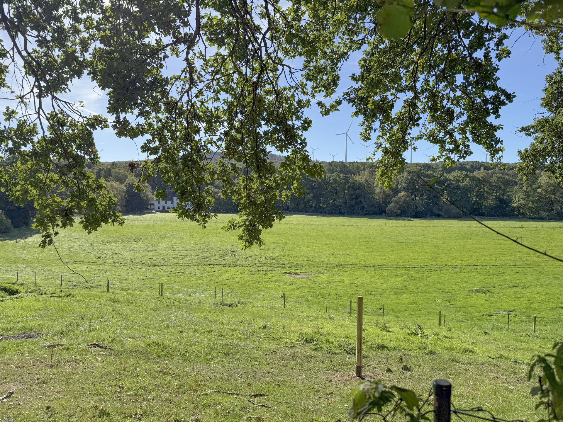 Weitblick über die umliegenden Wiesen